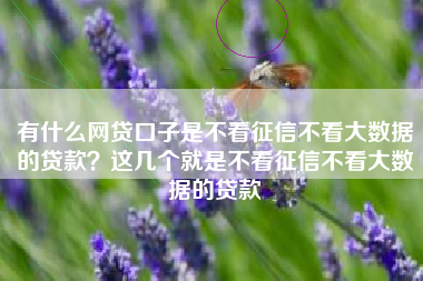 有什么网贷口子是不看征信不看大数据的贷款？这几个就是不看征信不看大数据的贷款