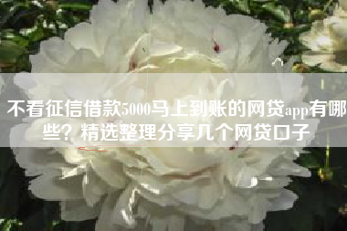 不看征信借款5000马上到账的网贷app有哪些？精选整理分享几个网贷口子