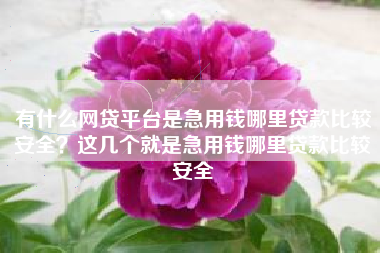 有什么网贷平台是急用钱哪里贷款比较安全？这几个就是急用钱哪里贷款比较安全