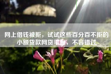 网上借钱被拒，试试这些百分百不拒的小额贷款网贷平台，不容错过