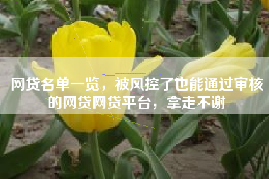 网贷名单一览，被风控了也能通过审核的网贷网贷平台，拿走不谢