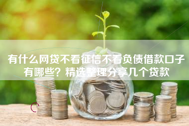 有什么网贷不看征信不看负债借款口子有哪些？精选整理分享几个贷款
