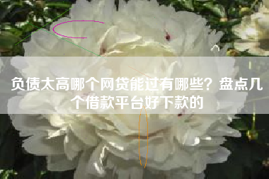 负债太高哪个网贷能过有哪些？盘点几个借款平台好下款的