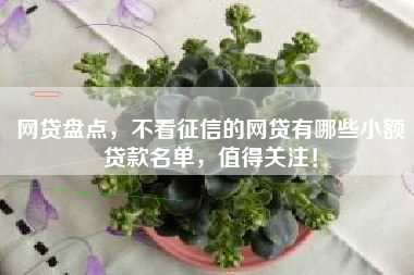 网贷盘点，不看征信的网贷有哪些小额贷款名单，值得关注！