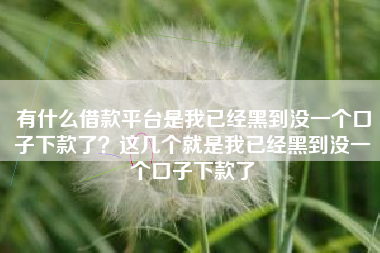 有什么借款平台是我已经黑到没一个口子下款了？这几个就是我已经黑到没一个口子下款了