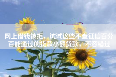 网上借钱被拒，试试这些不查征信百分百能通过的贷款小额贷款，不容错过
