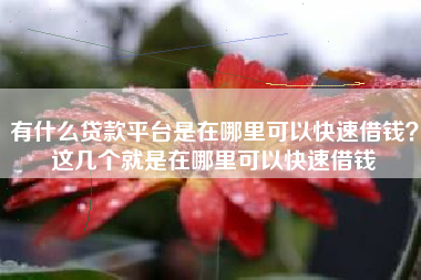 有什么贷款平台是在哪里可以快速借钱？这几个就是在哪里可以快速借钱