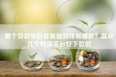 哪个贷款平台容易借到钱有哪些？盘点几个网贷平台好下款的