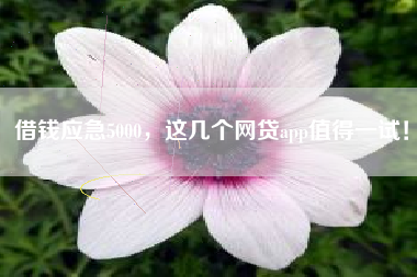借钱应急5000，这几个网贷app值得一试！