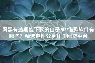 网黑有逾期能下款的口子2022借款软件有哪些？精选整理分享几个网贷平台