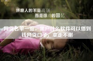 网贷名单一览，黑户什么软件可以借到钱网贷口子，拿走不谢