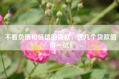 不看负债和征信的贷款，这几个贷款值得一试！