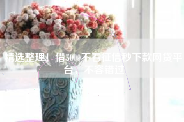 精选整理！借5000不看征信秒下款网贷平台，不容错过
