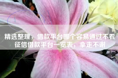 精选整理，借款平台哪个容易通过不看征信借款平台一览表，拿走不谢