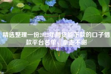 精选整理一份2022年网贷能下款的口子借款平台名单，拿走不谢
