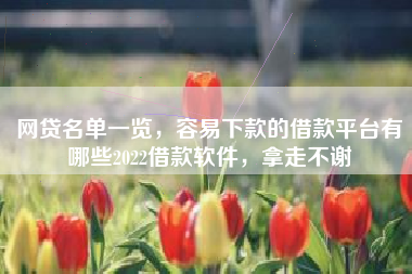 网贷名单一览，容易下款的借款平台有哪些2022借款软件，拿走不谢