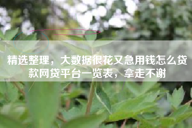 精选整理，大数据很花又急用钱怎么贷款网贷平台一览表，拿走不谢