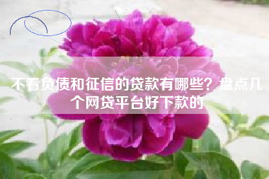 不看负债和征信的贷款有哪些？盘点几个网贷平台好下款的