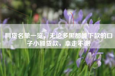 网贷名单一览，无论多黑都能下款的口子小额贷款，拿走不谢