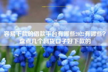 容易下款的借款平台有哪些2022有哪些？盘点几个网贷口子好下款的
