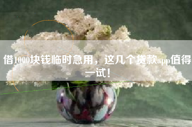 借1000块钱临时急用，这几个贷款app值得一试！
