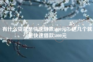 有什么贷款是快速借款5000元？这几个就是快速借款5000元