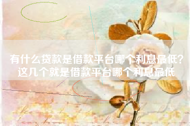 有什么贷款是借款平台哪个利息最低？这几个就是借款平台哪个利息最低