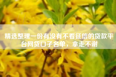 精选整理一份有没有不看征信的贷款平台网贷口子名单，拿走不谢