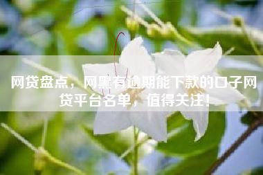 网贷盘点，网黑有逾期能下款的口子网贷平台名单，值得关注！