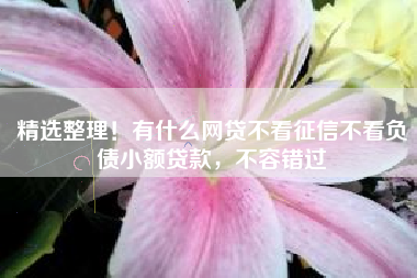 精选整理！有什么网贷不看征信不看负债小额贷款，不容错过