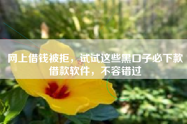 网上借钱被拒，试试这些黑口子必下款借款软件，不容错过