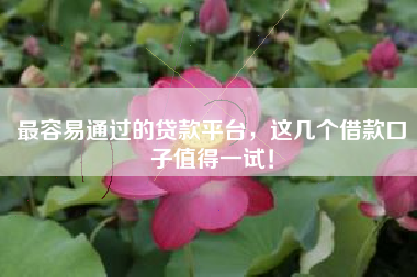 最容易通过的贷款平台，这几个借款口子值得一试！