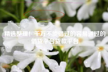 精选整理！千万不能错过的容易通过的借贷平台贷款平台