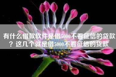 有什么借款软件是借5000不看征信的贷款？这几个就是借5000不看征信的贷款