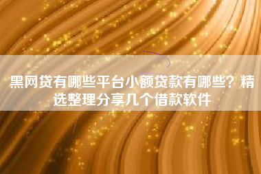 黑网贷有哪些平台小额贷款有哪些？精选整理分享几个借款软件
