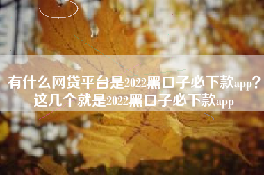 有什么网贷平台是2022黑口子必下款app？这几个就是2022黑口子必下款app