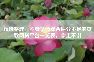 精选整理，不看负债综合评分不足的贷款网贷平台一览表，拿走不谢