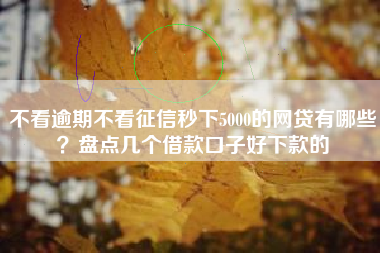 不看逾期不看征信秒下5000的网贷有哪些？盘点几个借款口子好下款的