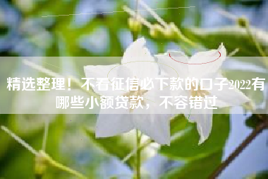 精选整理！不看征信必下款的口子2022有哪些小额贷款，不容错过