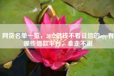 网贷名单一览，2022借钱不看征信的app有哪些借款平台，拿走不谢
