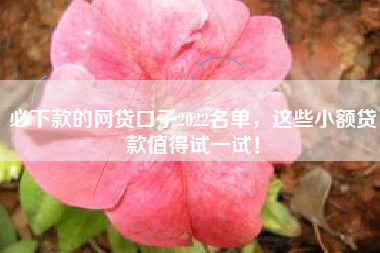 必下款的网贷口子2022名单，这些小额贷款值得试一试！