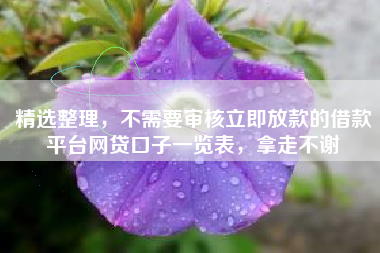 精选整理，不需要审核立即放款的借款平台网贷口子一览表，拿走不谢