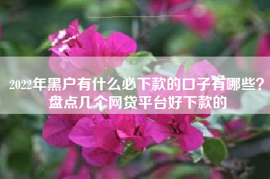2022年黑户有什么必下款的口子有哪些？盘点几个网贷平台好下款的