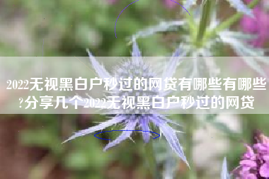 2022无视黑白户秒过的网贷有哪些有哪些?分享几个2022无视黑白户秒过的网贷