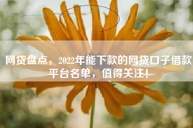 网贷盘点，2022年能下款的网贷口子借款平台名单，值得关注！
