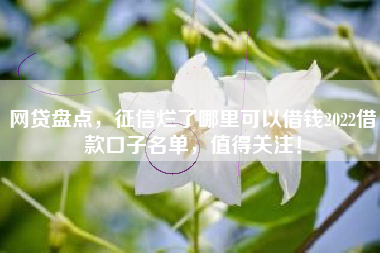 网贷盘点，征信烂了哪里可以借钱2022借款口子名单，值得关注！