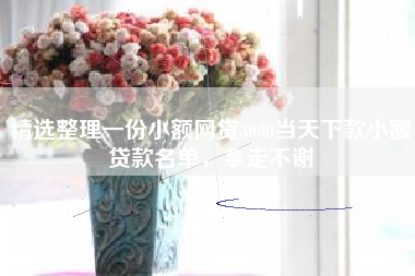 精选整理一份小额网贷3000当天下款小额贷款名单，拿走不谢