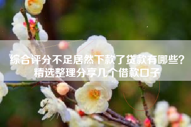 综合评分不足居然下款了贷款有哪些？精选整理分享几个借款口子