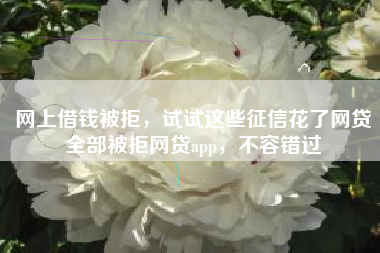 网上借钱被拒，试试这些征信花了网贷全部被拒网贷app，不容错过