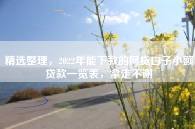 精选整理，2022年能下款的网贷口子小额贷款一览表，拿走不谢
